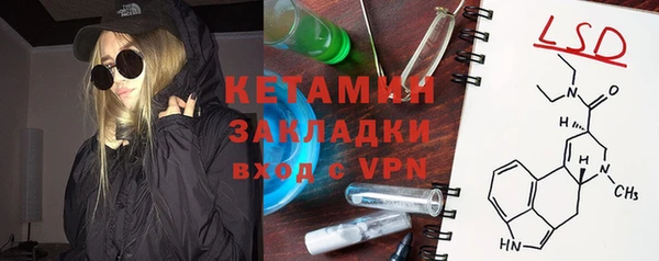 шишки Михайловск