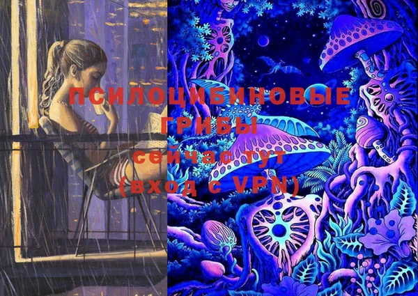 шишки Михайловск