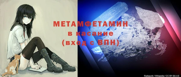 ГАЛЛЮЦИНОГЕННЫЕ ГРИБЫ Михайлов