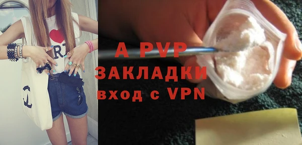 ГАЛЛЮЦИНОГЕННЫЕ ГРИБЫ Михайлов