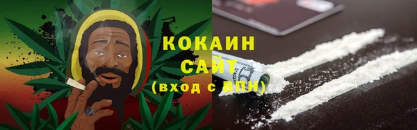 шишки Михайловск