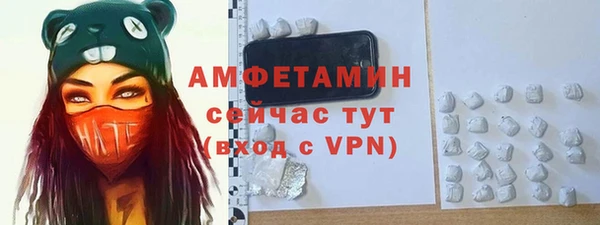 ГАЛЛЮЦИНОГЕННЫЕ ГРИБЫ Михайлов