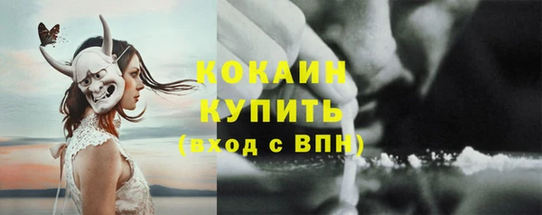 шишки Михайловск