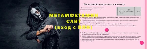 ГАЛЛЮЦИНОГЕННЫЕ ГРИБЫ Михайлов