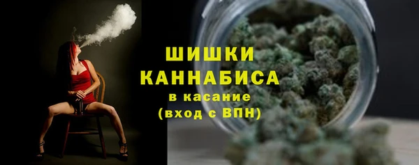 ГАЛЛЮЦИНОГЕННЫЕ ГРИБЫ Михайлов