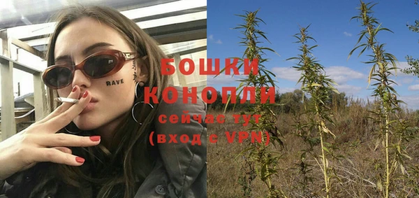 ГАЛЛЮЦИНОГЕННЫЕ ГРИБЫ Михайлов