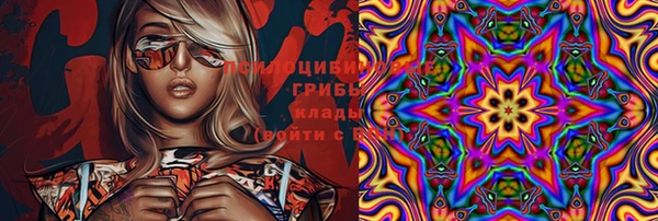 шишки Михайловск