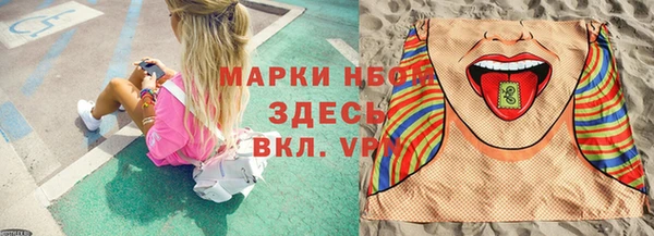 шишки Михайловск