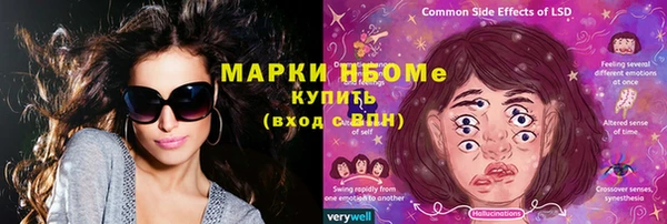 шишки Михайловск