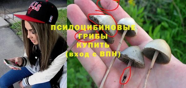 твердый Михайловка
