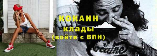 шишки Михайловск