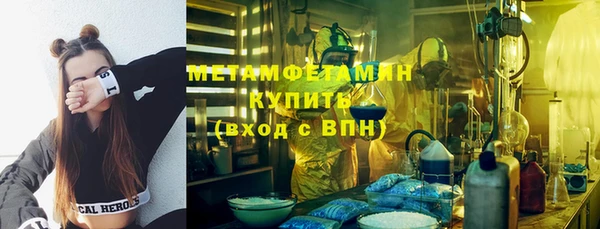 ГАЛЛЮЦИНОГЕННЫЕ ГРИБЫ Михайлов
