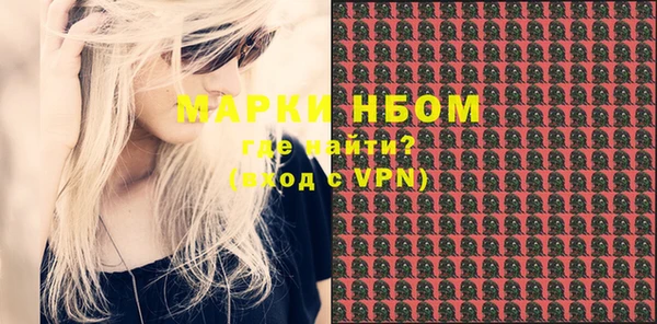 шишки Михайловск