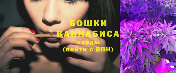 ГАЛЛЮЦИНОГЕННЫЕ ГРИБЫ Михайлов