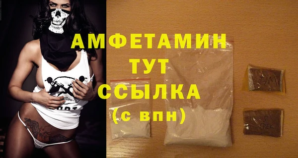 шишки Михайловск