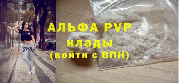 ГАЛЛЮЦИНОГЕННЫЕ ГРИБЫ Михайлов