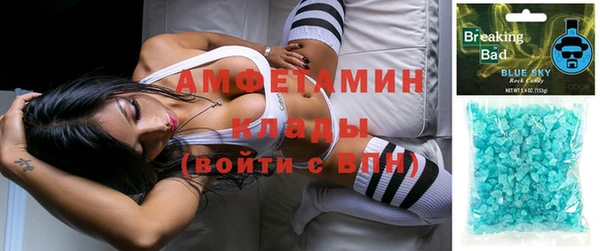 шишки Михайловск